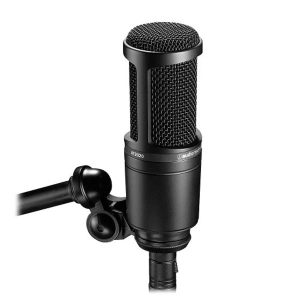 Microphone